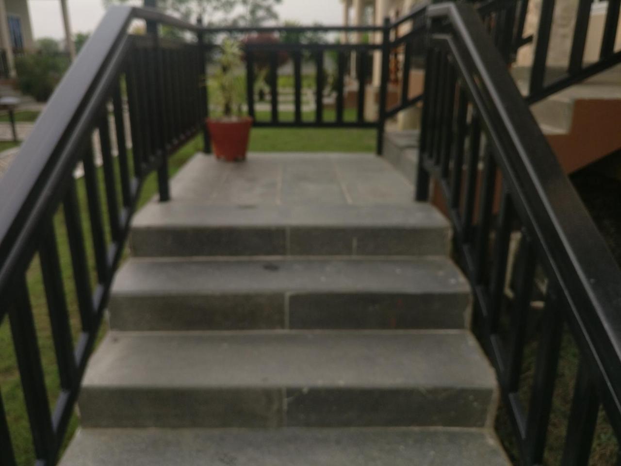 Hotel Hornbill 사우라하 외부 사진